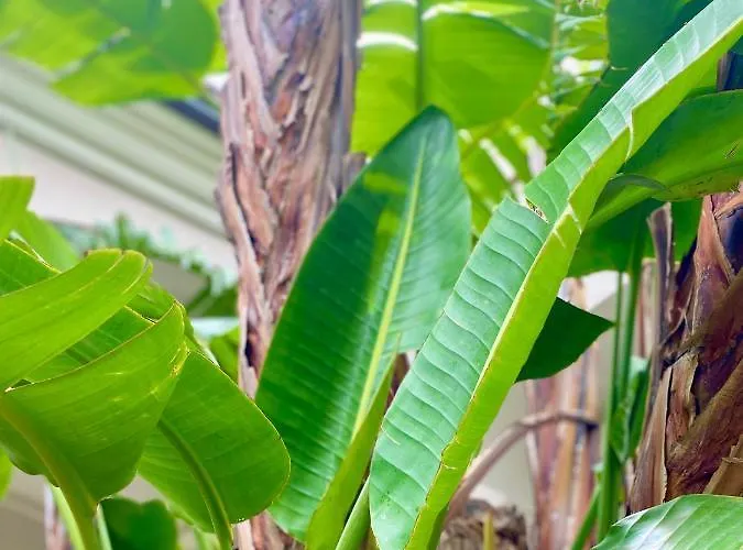 아파트 Casa Sterlizia *